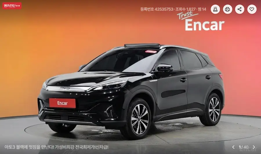 엔카BYD매물2